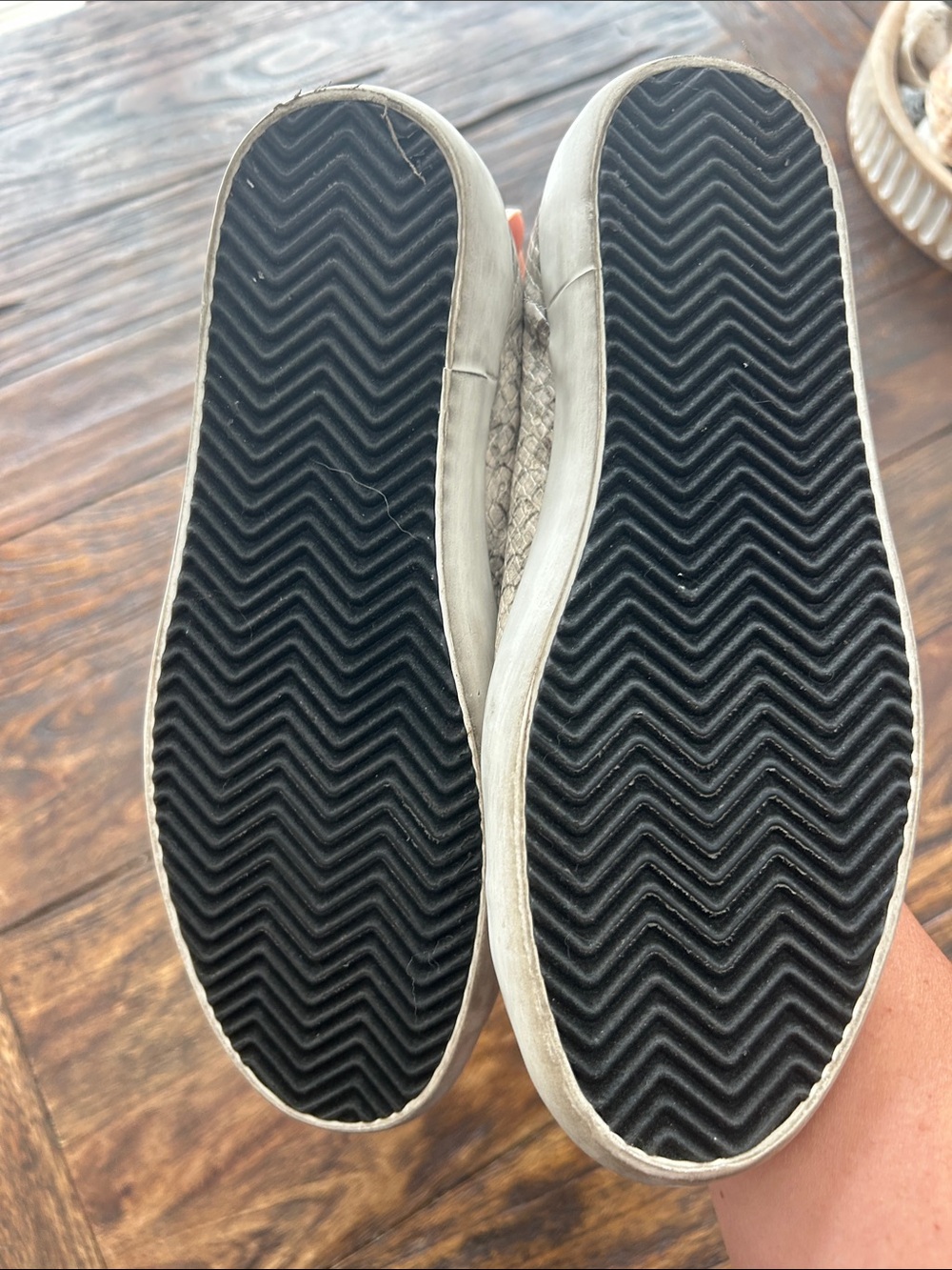 Sam Edelman Taupe Snake-Print Lace-Up Sneakers - Picture 3 of 4